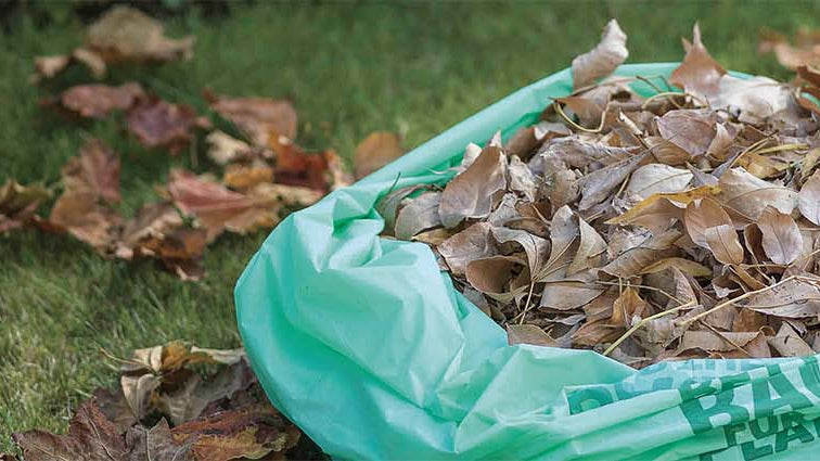 MyEcoWorld® compostable bags are made from 30% corn and other certified compostable materials