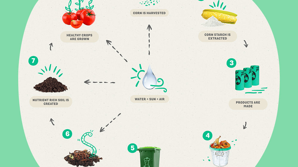 Introduction to the MyEcoWorld® Blog!