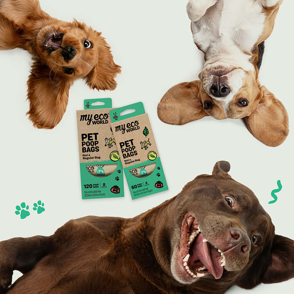 MyEcoWorld® pet poop bags are featured alongside three playful dogs, emphasizing the product's focus on pet care and sustainability. The eco-conscious bags, made from plant-based materials like GMO-free corn, are designed to offer an environmentally responsible solution for pet waste. The vibrant packaging highlights that these are "Not a Regular Bag," emphasizing their compostable and earth-friendly qualities.