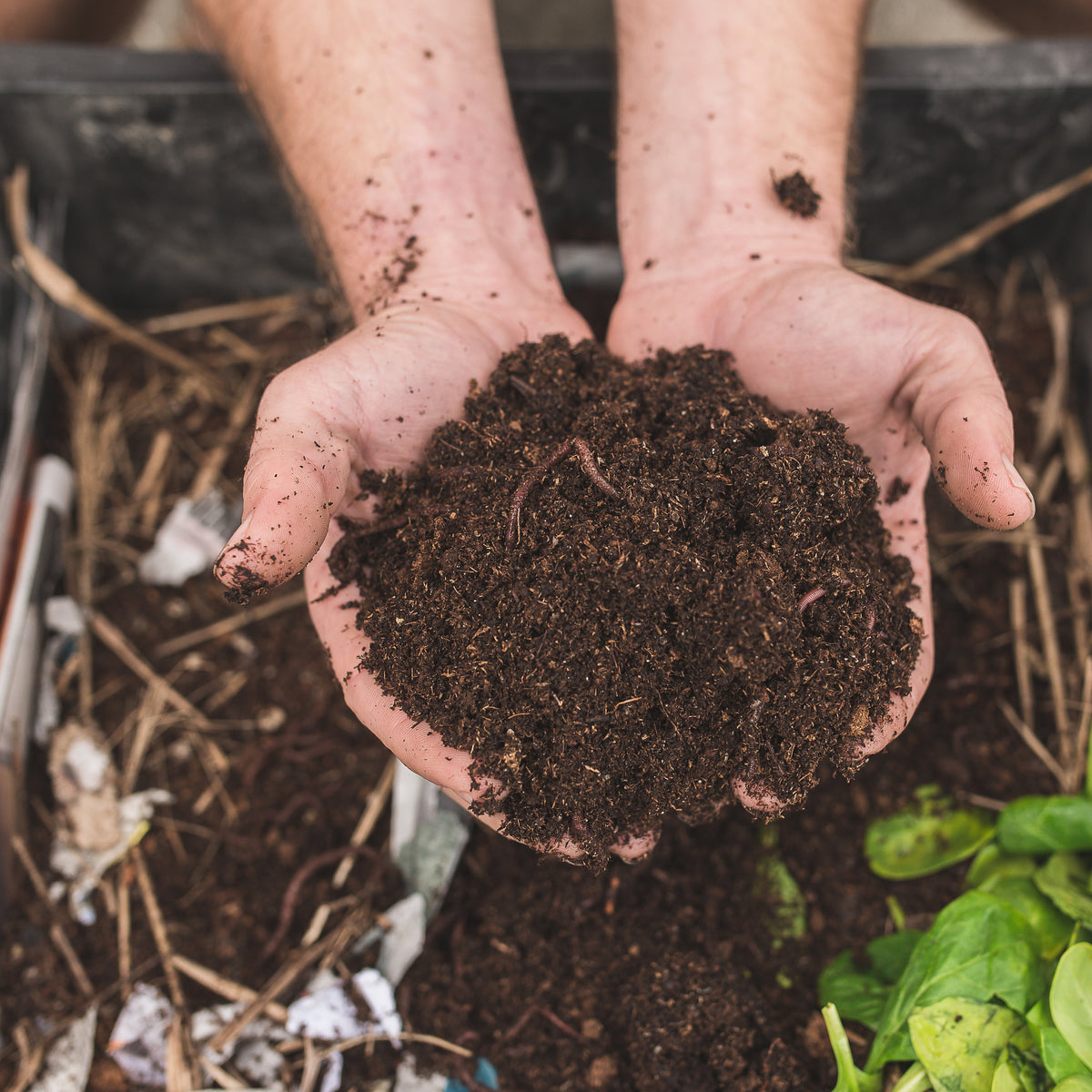 How To Start Home Composting With MyEcoWorld MYECOWORLD how-to-start-home-composting-with-myecoworld-myecoworld